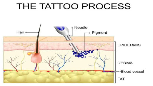 How Deep Should The Tattoo Needle Penetrate And Avoid Ink Spit?